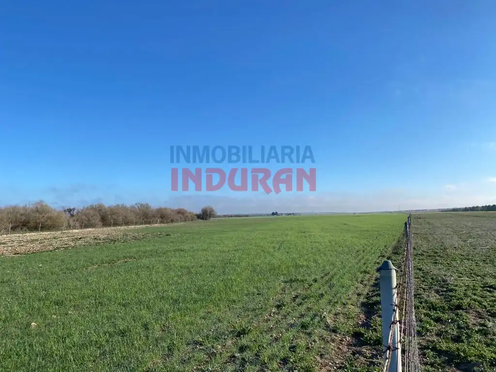 Casa rústica en venta en Avenida Castilla La Mancha, imagen 4