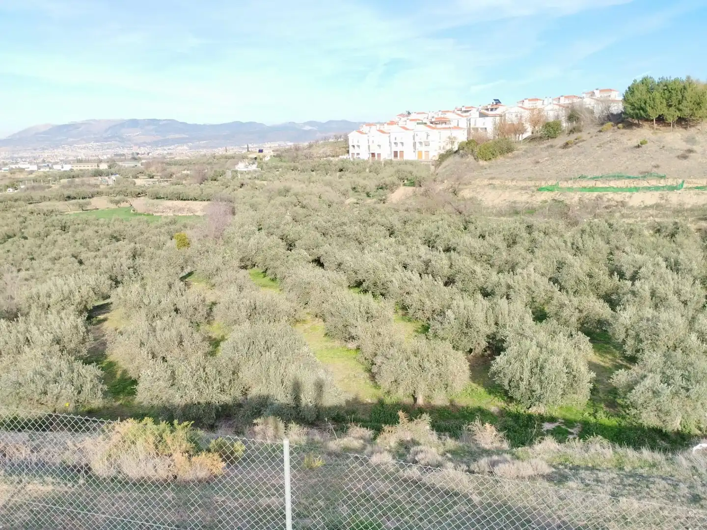 Terreno rustico in vendita a Urbanizacion PAGO VIÑA DEL REY, imagen 19
