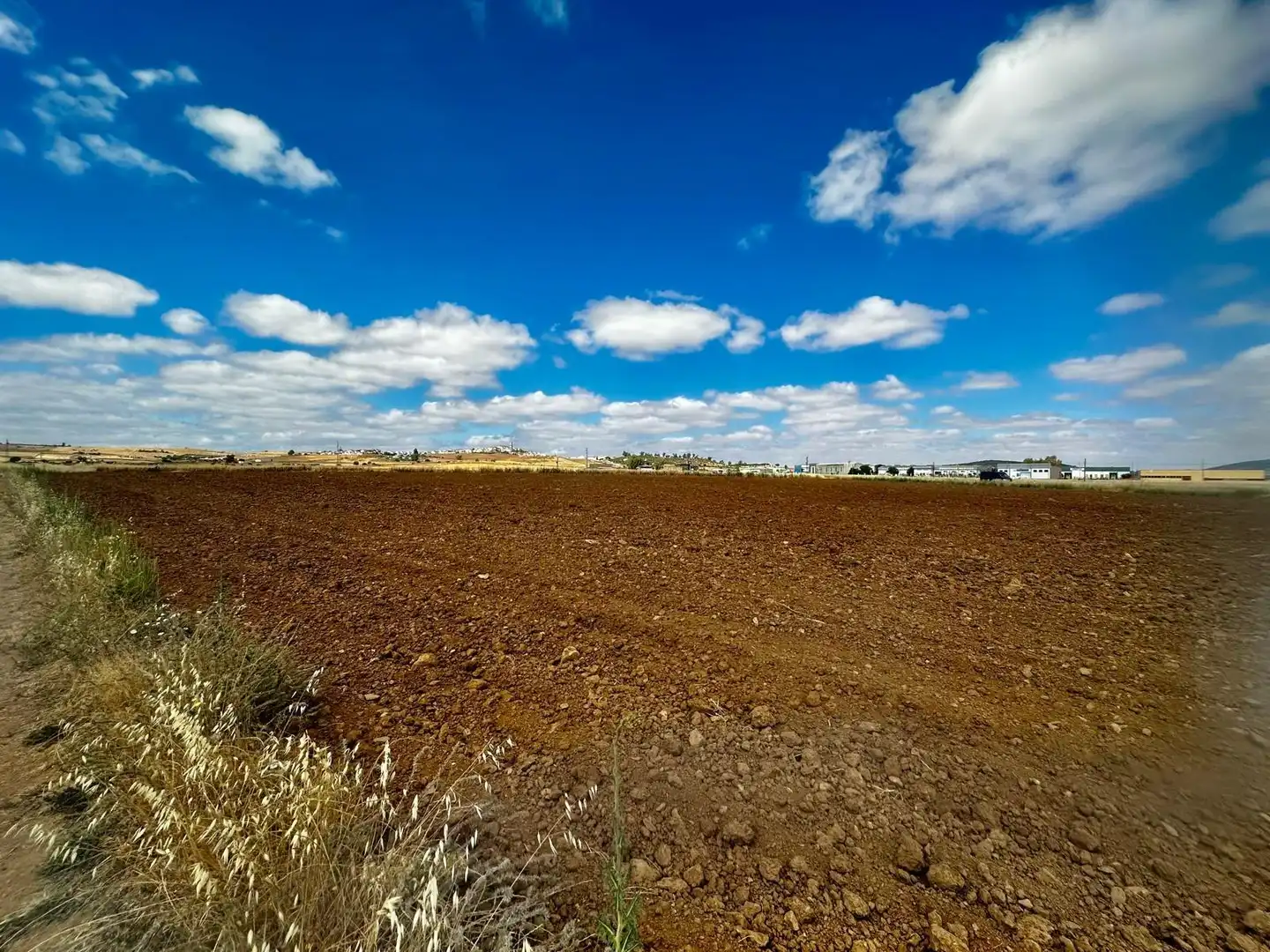 Rural land for sale in Fuente Obejuna, imagen 9