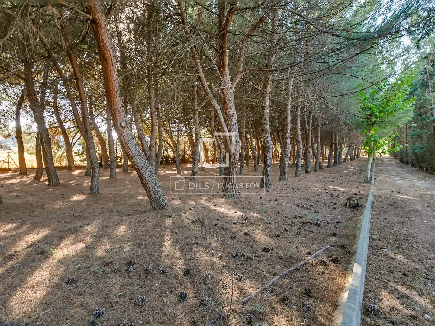 Casa o chalet en venta en Algete con Aire acondicionado, Calefacción y Jardín privado