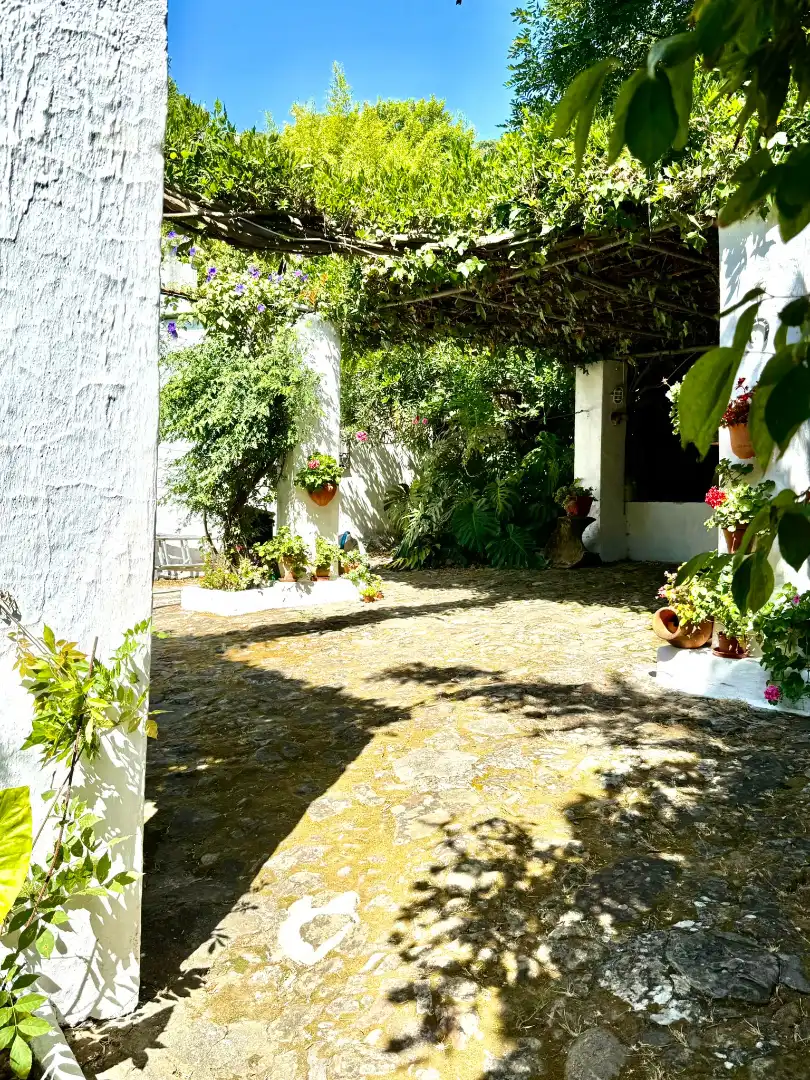 Jardín de Casa o chalet en venta en Algeciras con Jardín privado, Terraza y Piscina