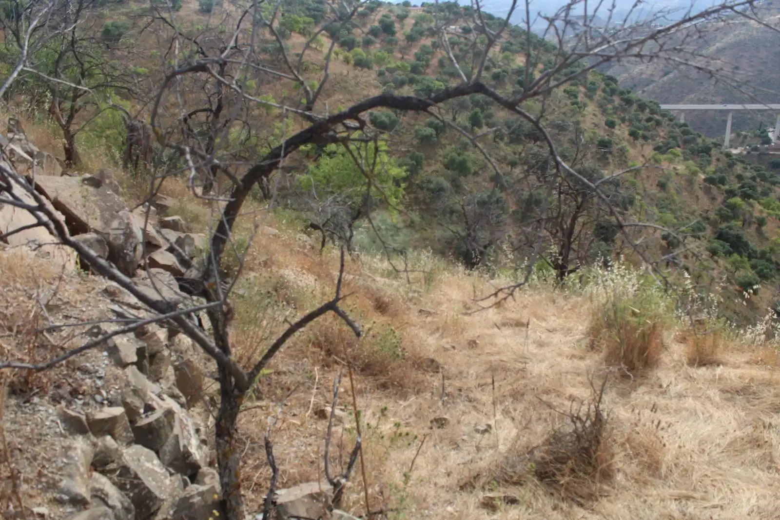 Finca rústica en venda en Almogía