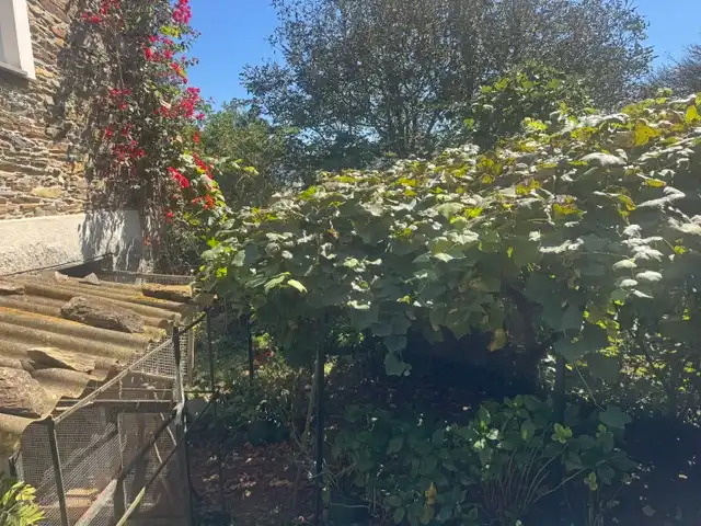 Maison rustique avec terrasse à vendre à N/A, imagen 39