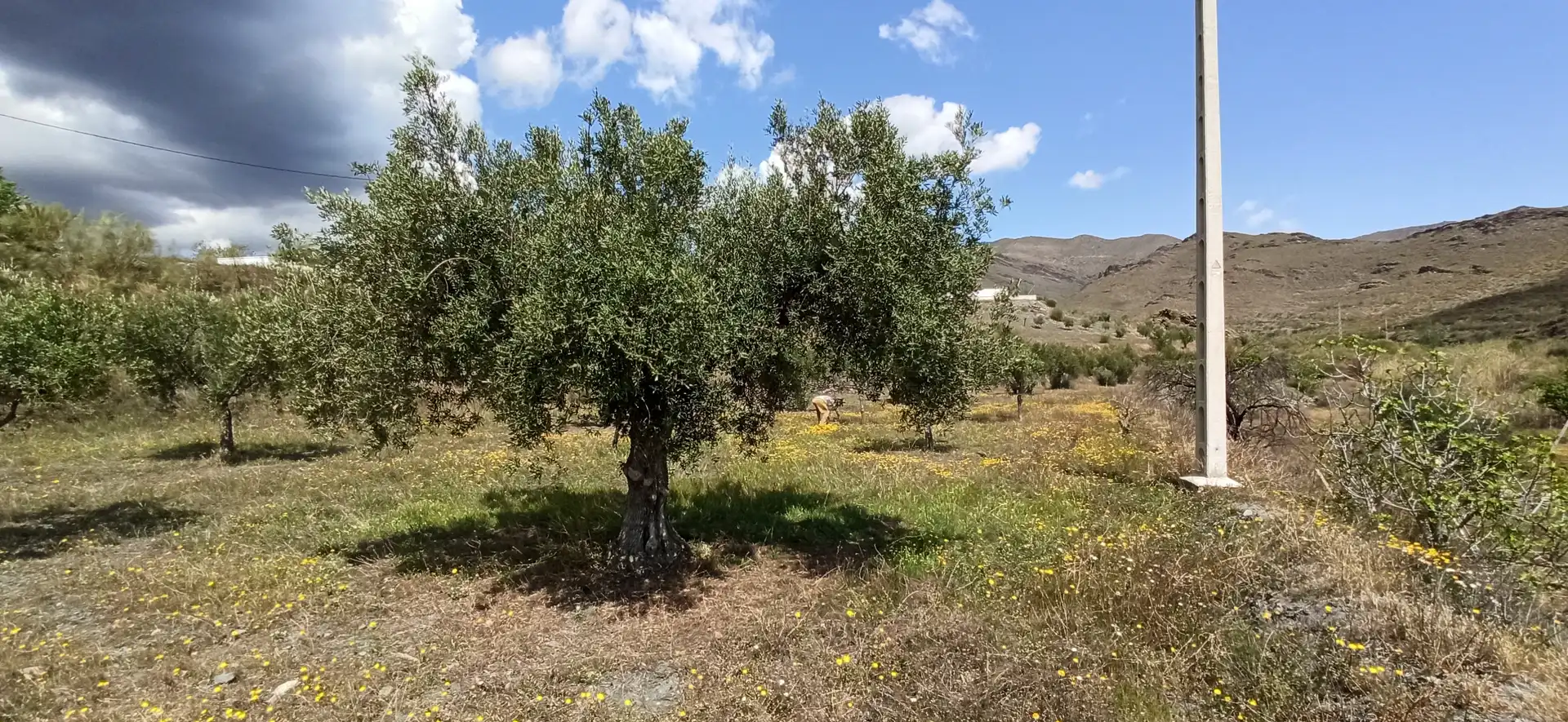 Rustikales Grundstück zum Verkauf in Calle El Almendro 5, imagen 3