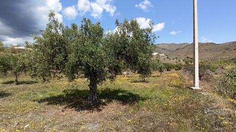 Terreno parcela en Senés, immagine 3