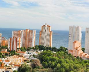 Vista exterior de Apartament en venda en Benidorm amb Terrassa