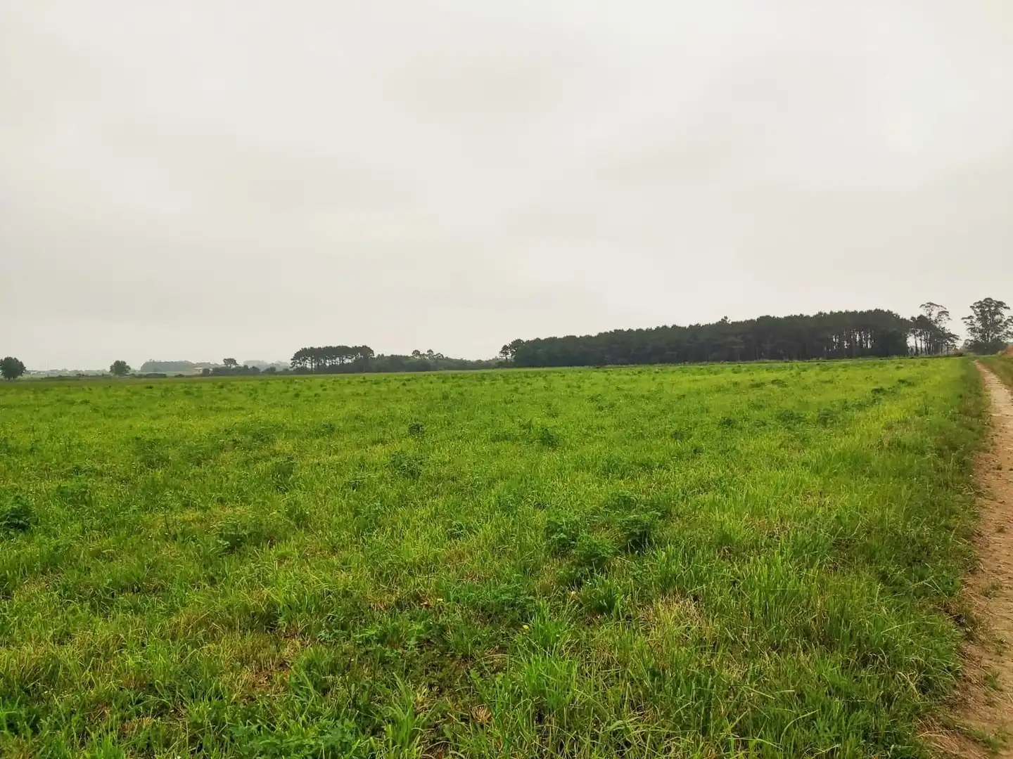 Residential land for sale in Lugar Brul, imagen 12