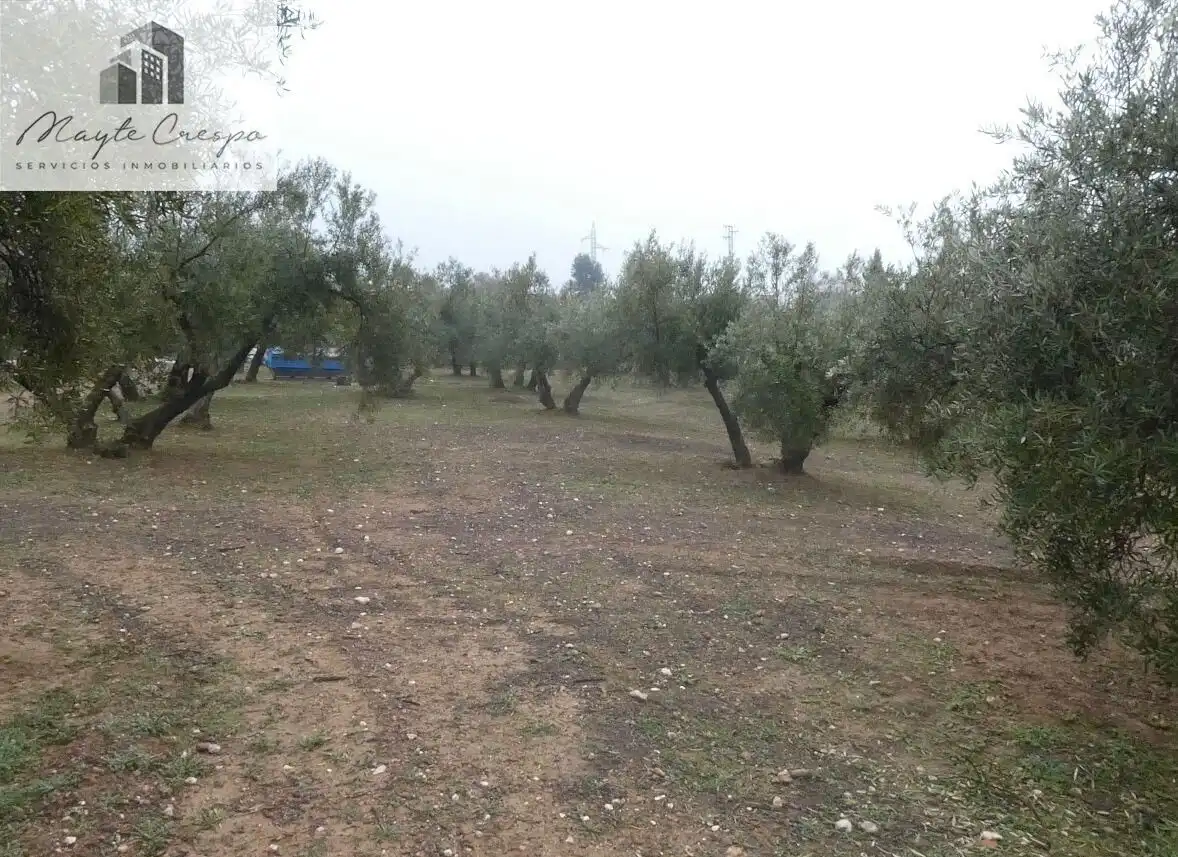 Terreni e lotti in vendita a Peligros, imagen 16