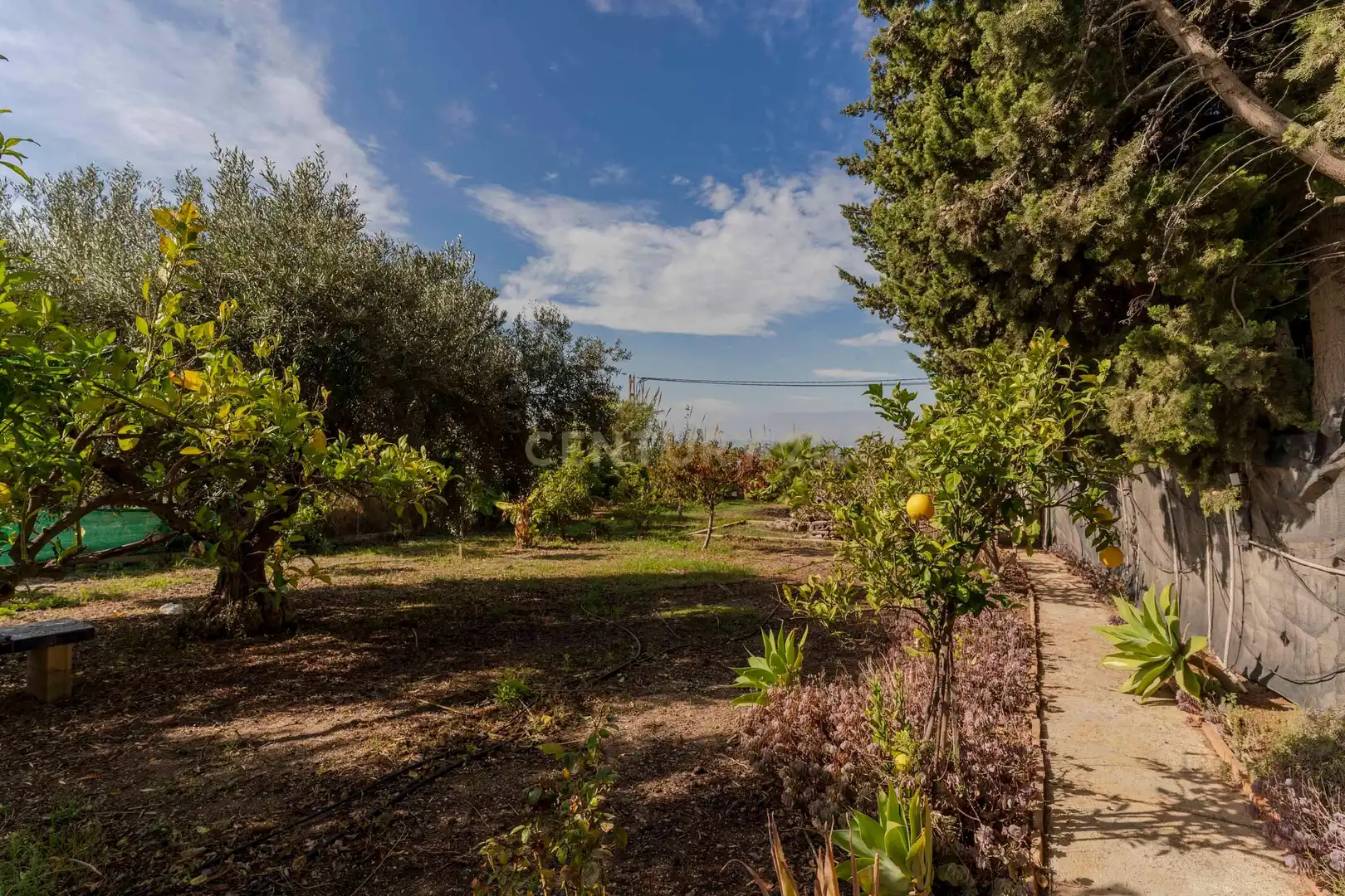 Jardín de Casa o chalet en venta en Motril con Aire acondicionado, Jardín privado y Trastero