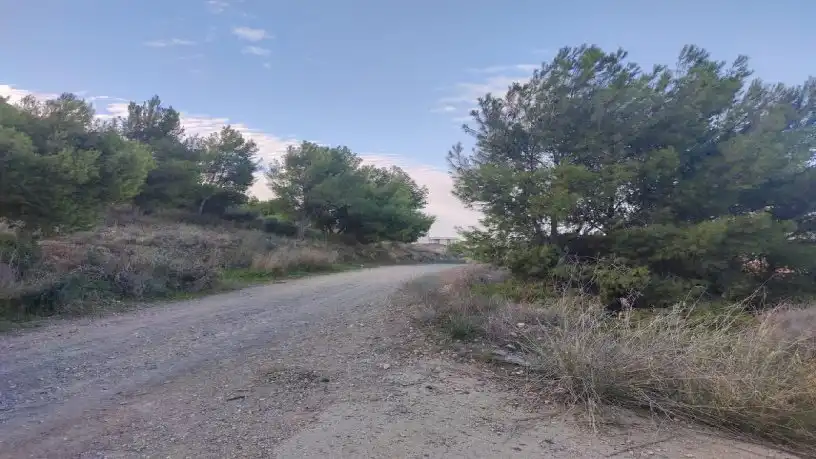 Terrenys i solars en venda a Pedanías Este, imagen 6
