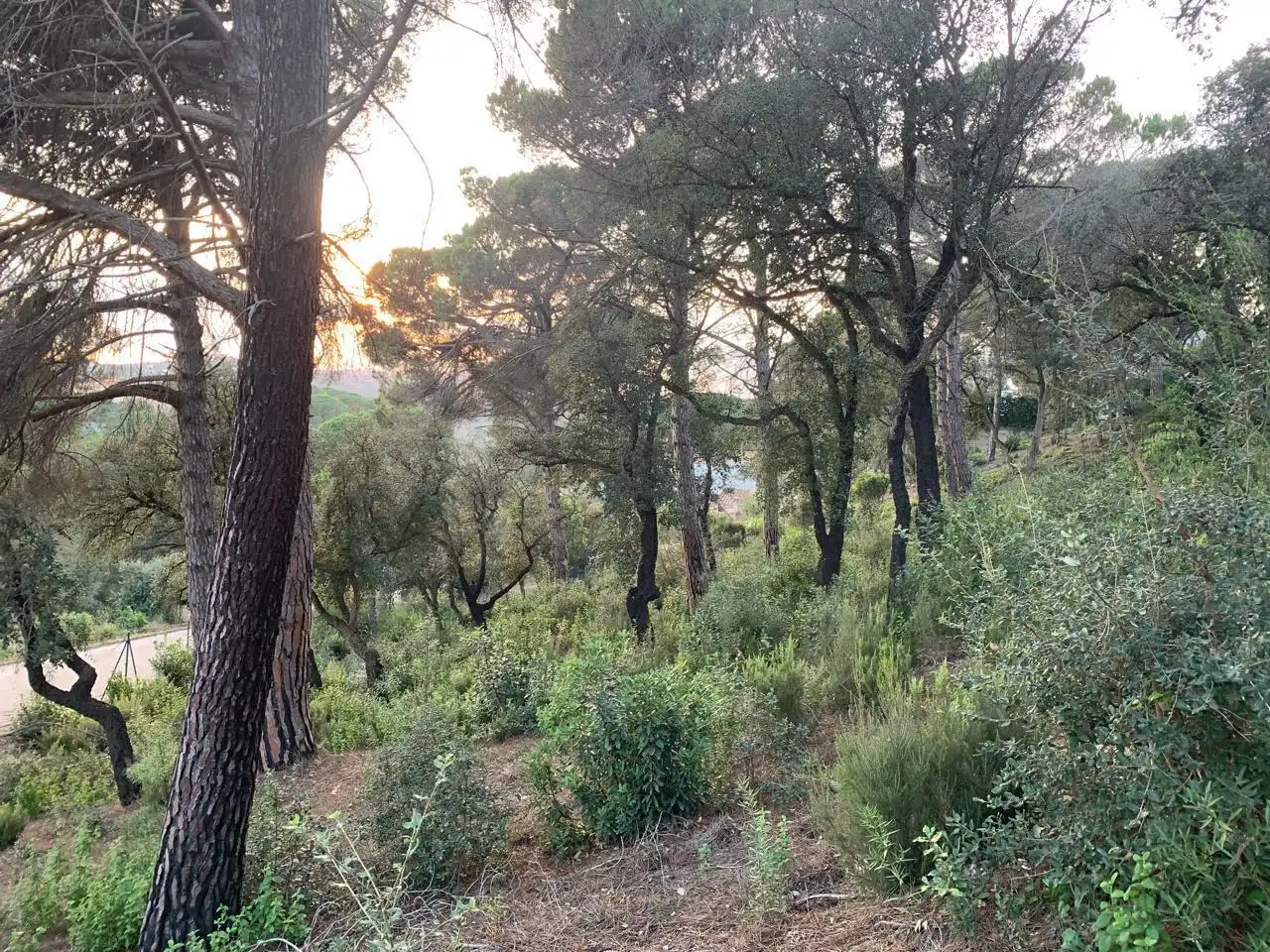 Grundstücke und Bauplätze zum Verkauf in Lloret Residencial - Montlloret, imagen 12