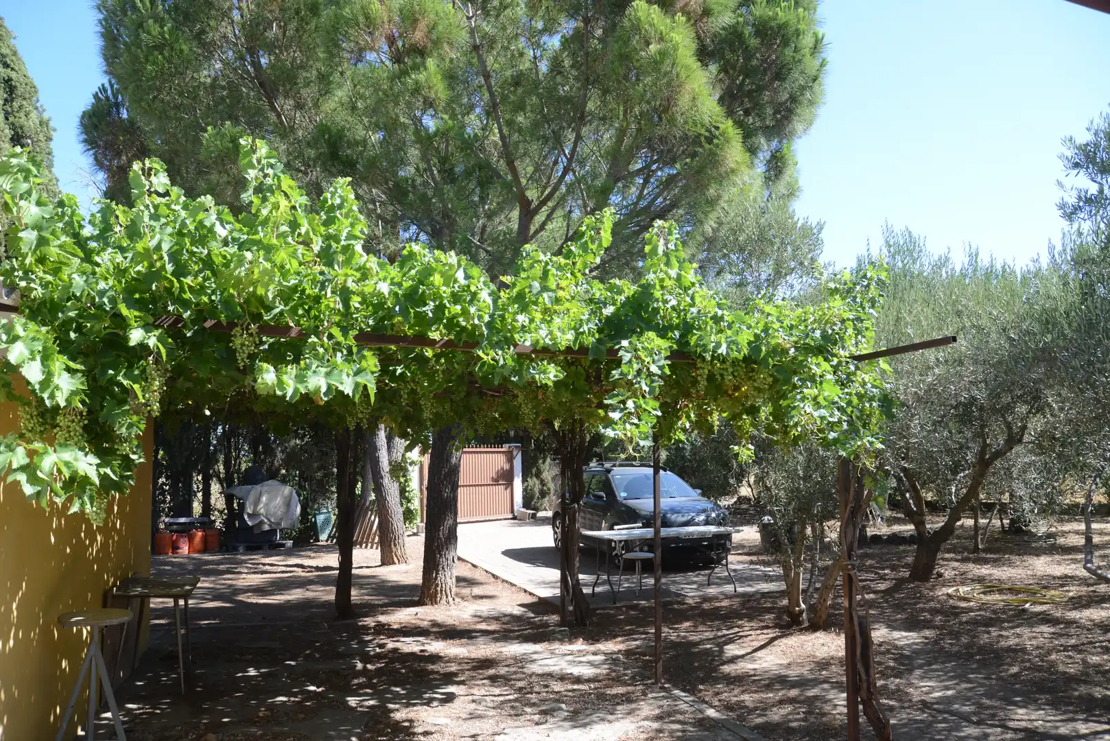 Finca rústica en venta en Fuente El Saz de Jarama