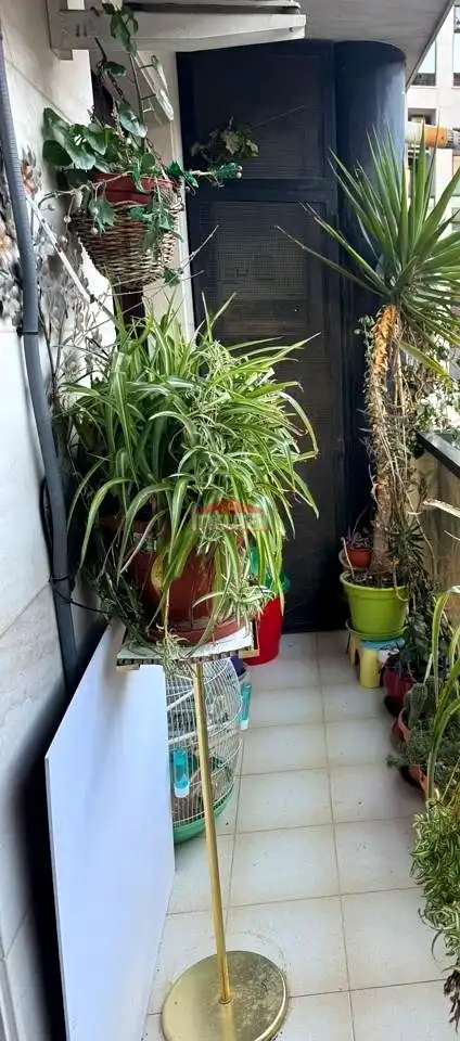 Jardín de Piso en venta en Albacete con Aire acondicionado, Calefacción y Terraza