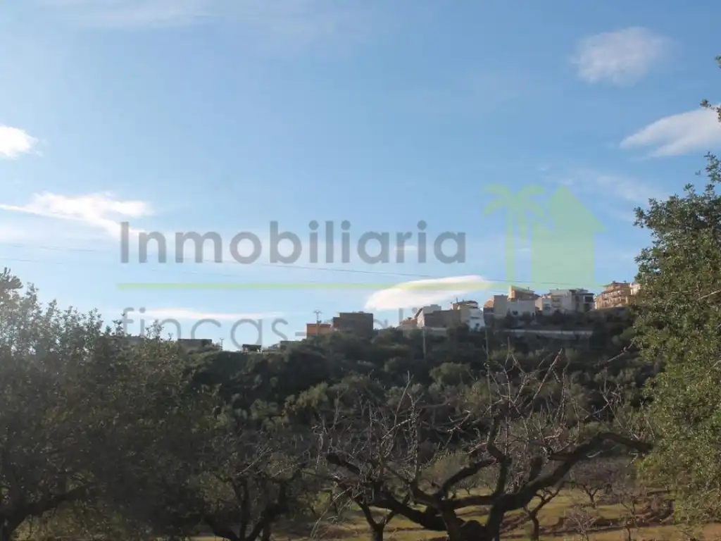 Terreny residencial en venda a Cervera del Maestre, imagen 14