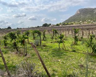 Land for sale in Aspe