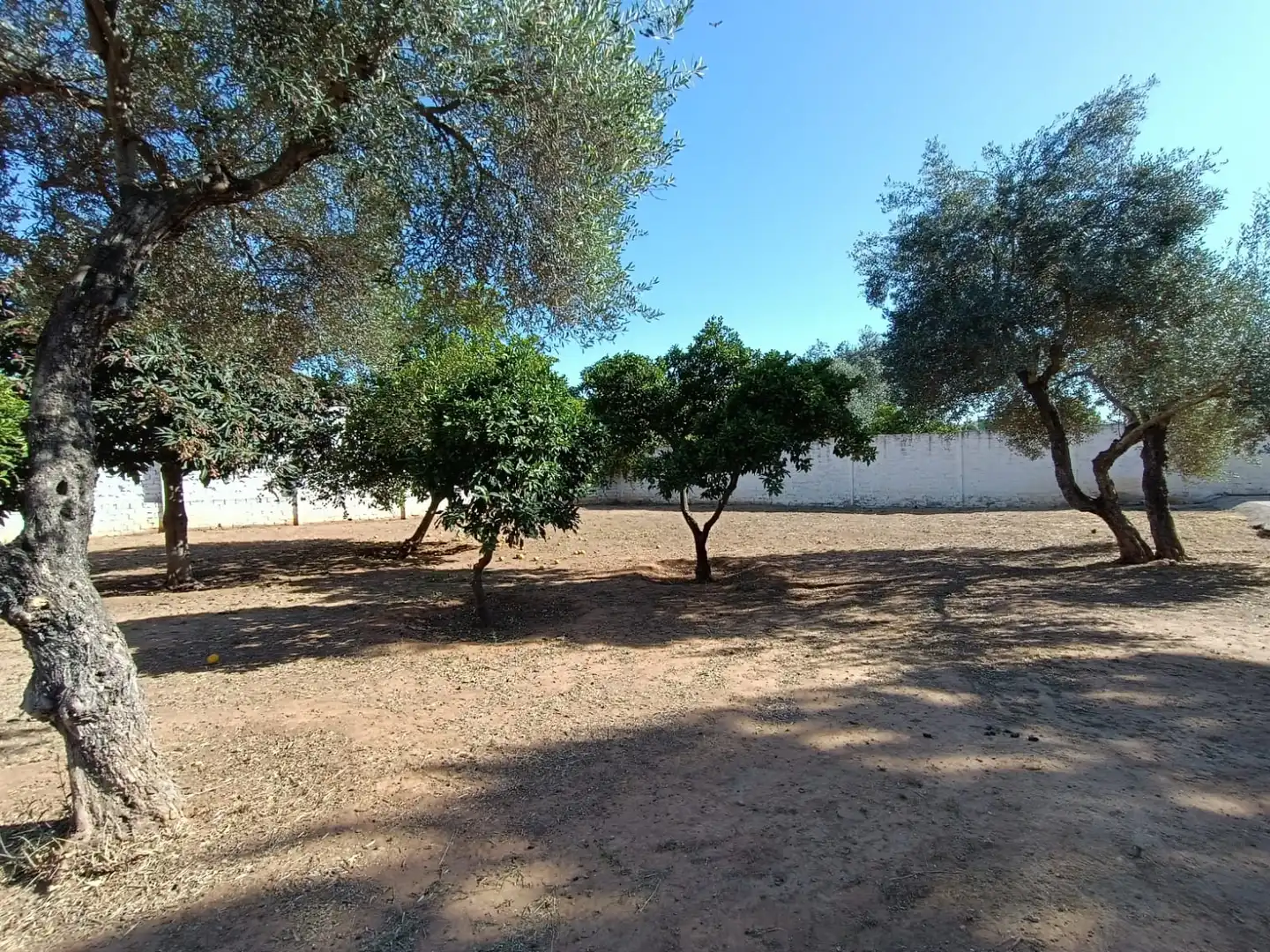 Terrain rustique à vendre à Urbanización Jimena M, imagen 24