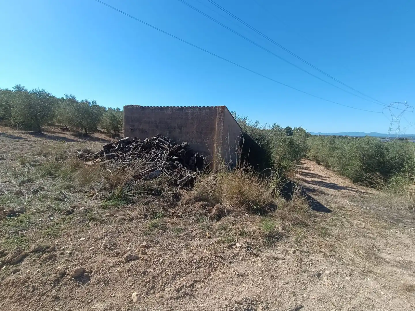 Terreny rústic en venda a La Secuita, imagen 7