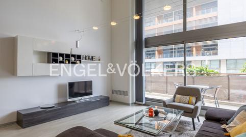 Photo 5 of Attic to rent