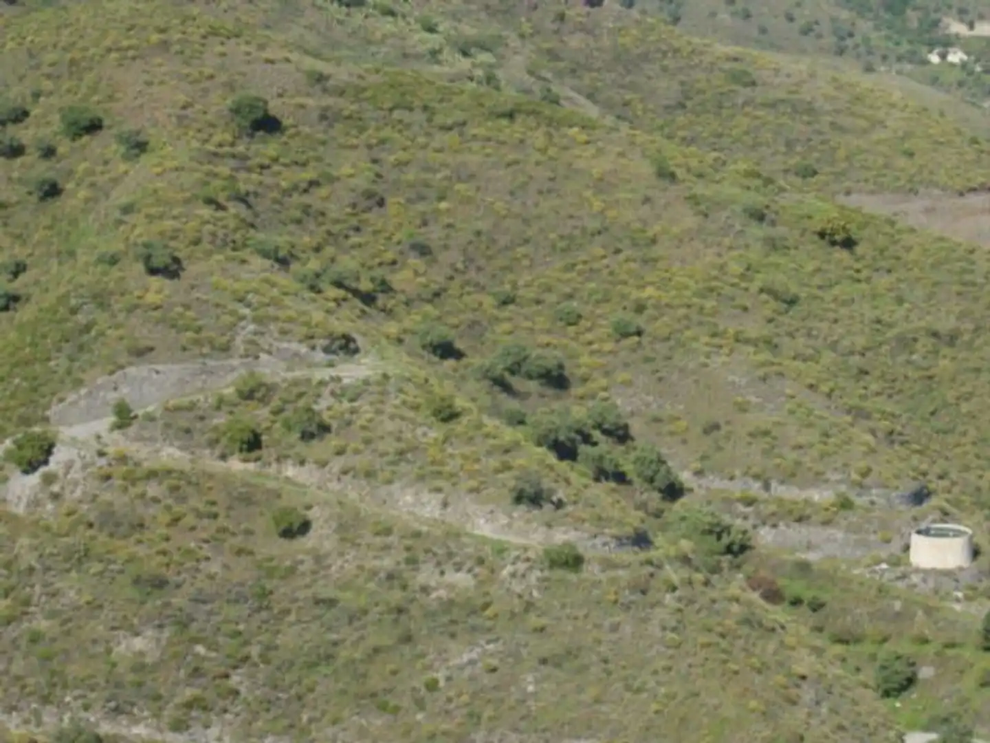 Rural land for sale in Diseminado Matachinas Pol 12, imagen 6