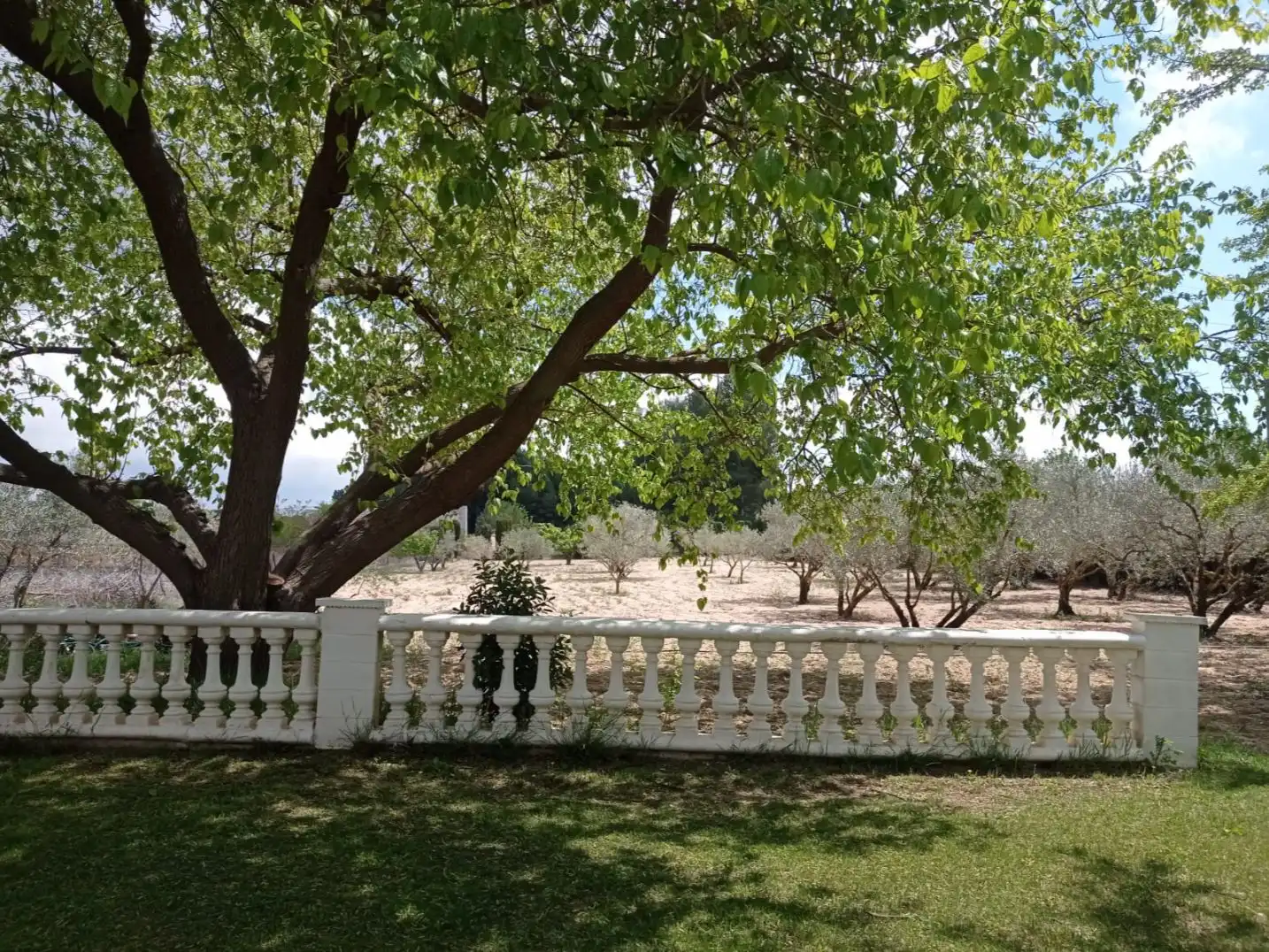 Casa rústica con jardín en venta en Cotera del Armajal 295, imagen 12