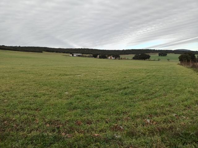 Terreno en Venta en Alcolea de Calatrava