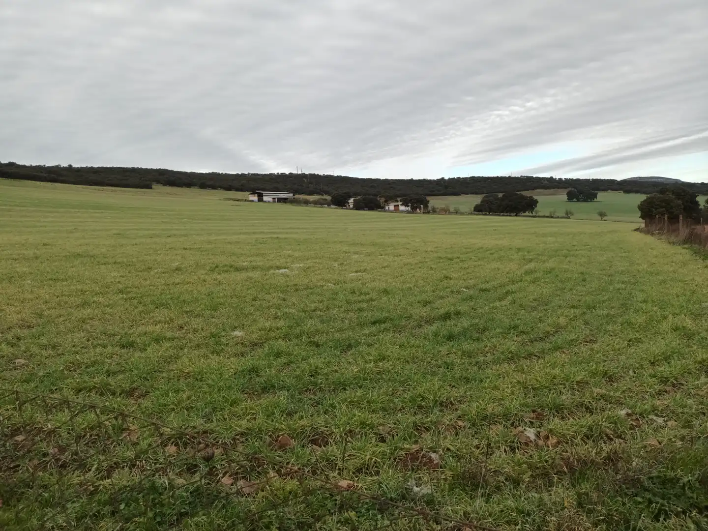 Terreno en venta en Alcolea de Calatrava