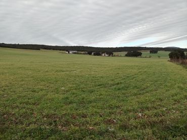 Rural land for sale in Alcolea de Calatrava