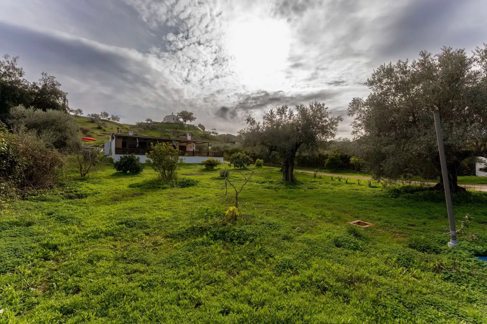 Jardín de Finca rústica en venta en Monda con Trastero y Piscina