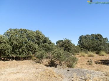 Terreno rustico in vendita a Villarrobledo