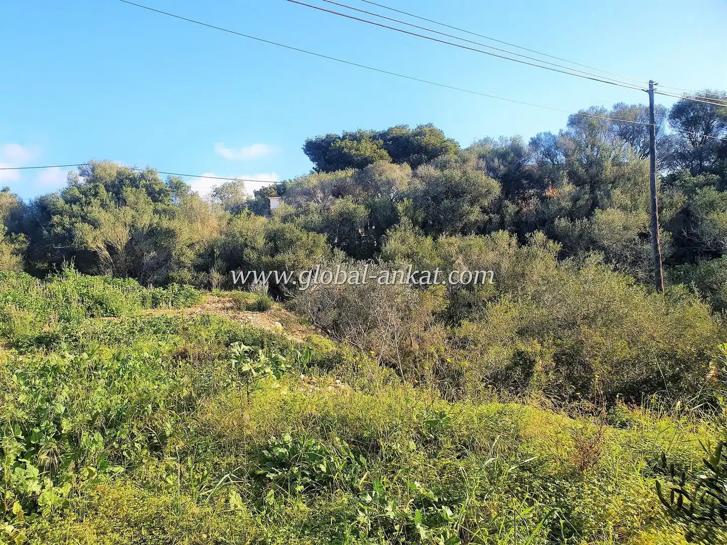 Residencial en venda en Manacor
