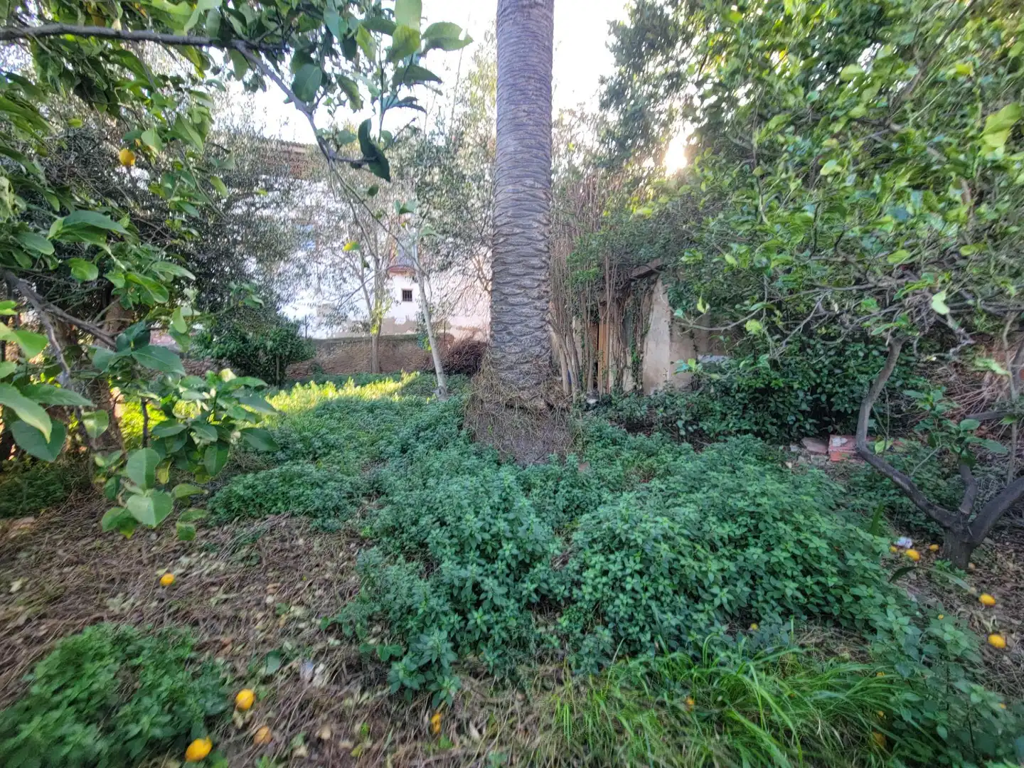 Terreno residenziale in vendita a Carrer de Sant Pere 24, imagen 15
