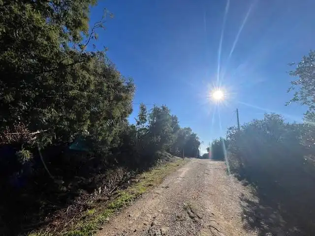Residential land for sale in Can Muni. Polígono 2 Parcela, imagen 15