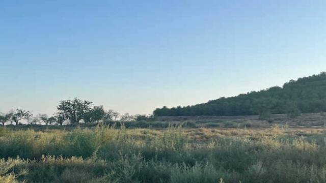 Terreno residencial en Venta en DE MOLENGO, -1 en Cintruénigo