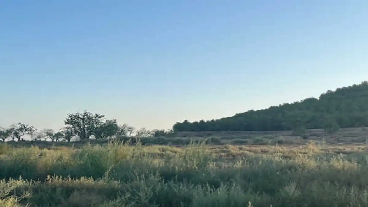 Residential for sale in Cintruénigo