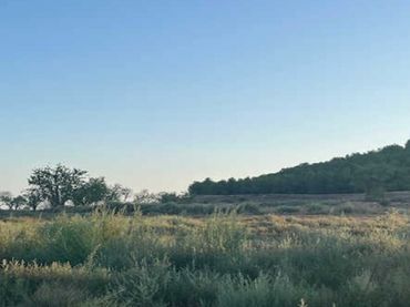 Lands and plots for sale in DE MOLENGO