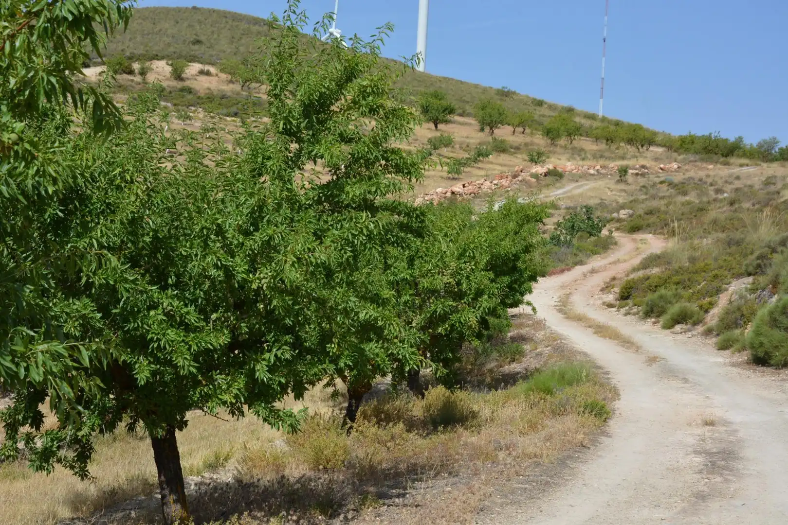 Exterior view of Land for sale in Padul