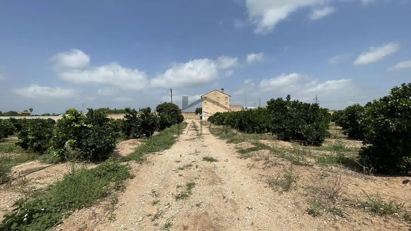 Finca rústica en venda en Alzira