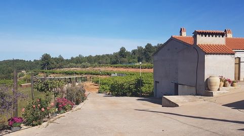 CASA DE CAMPO DE 110M2 MAS 17 HANEGADAS DE TERRENO CON POZO PROPIO, imagen 5