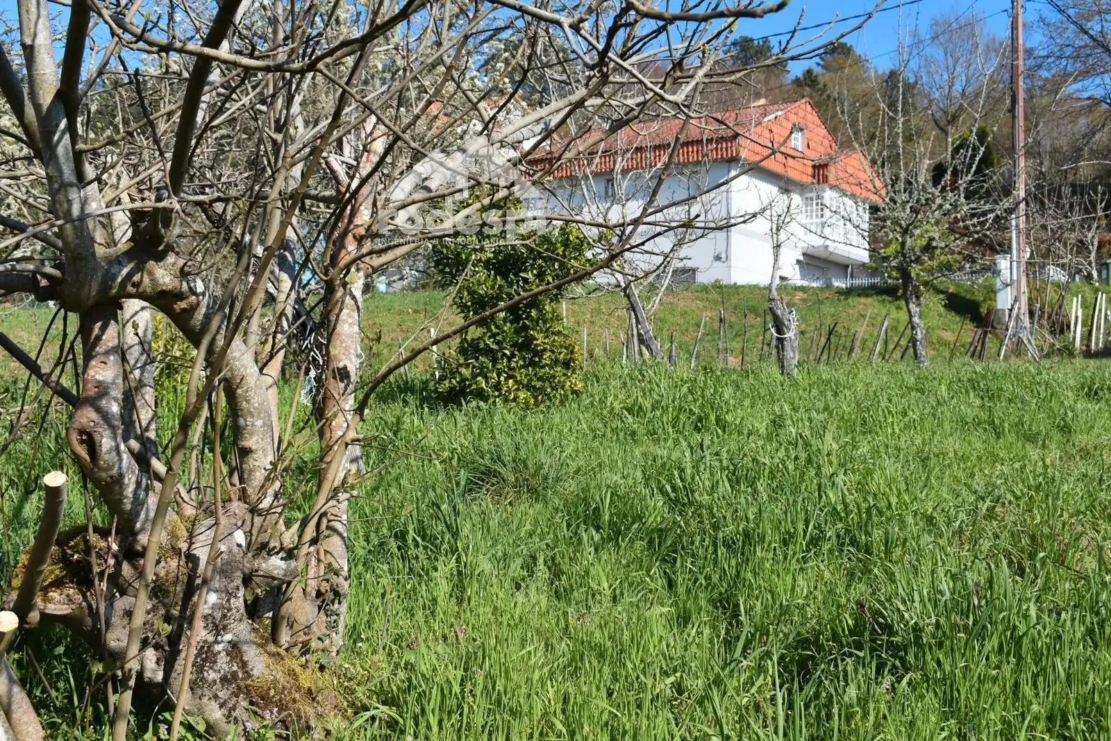 Casa o chalet en venta en Verea con Trastero y Amueblado