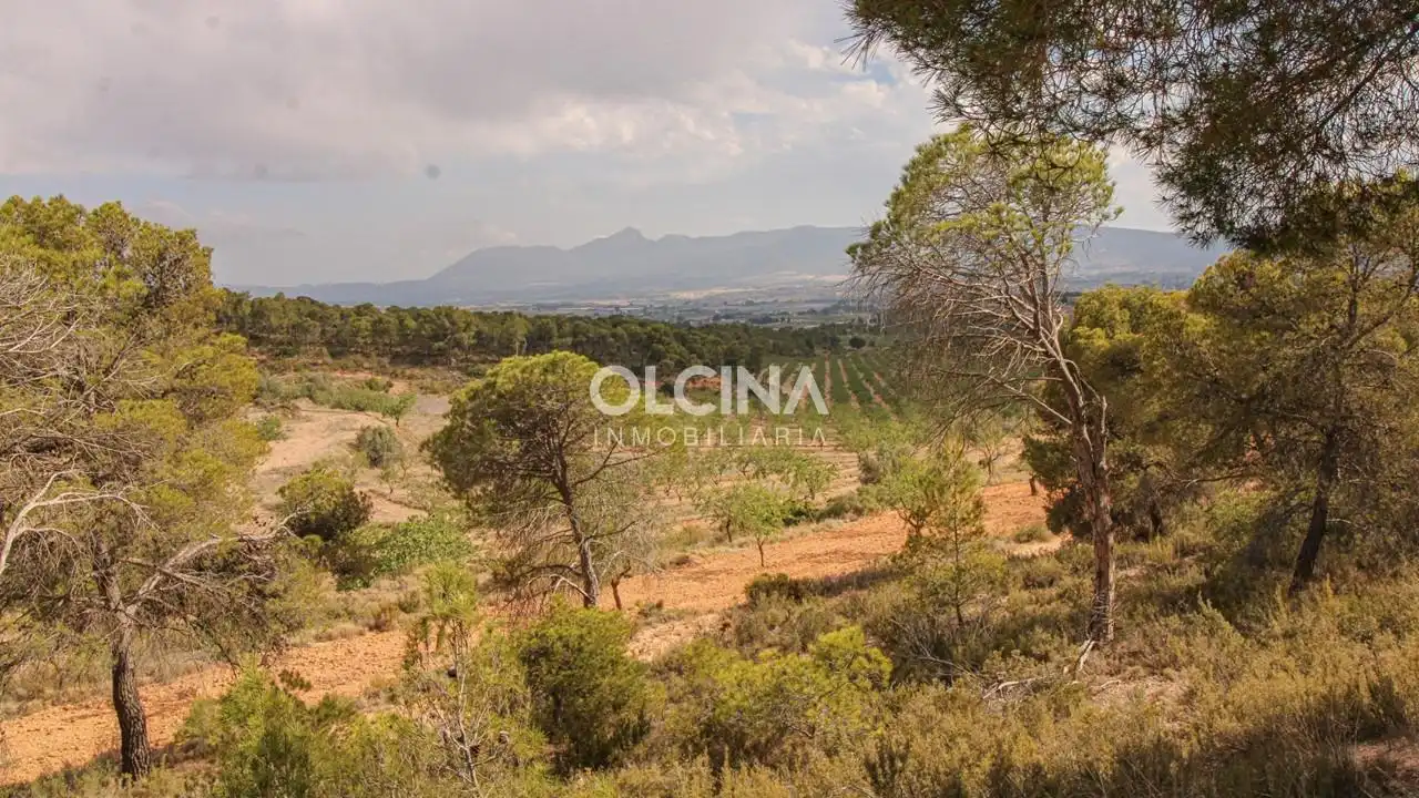 Country house for sale in Ibi, imagen 11