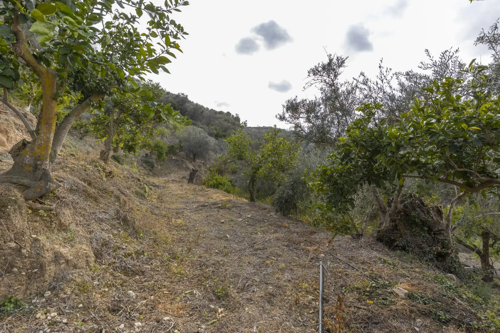 Terreno en venta en El Valle