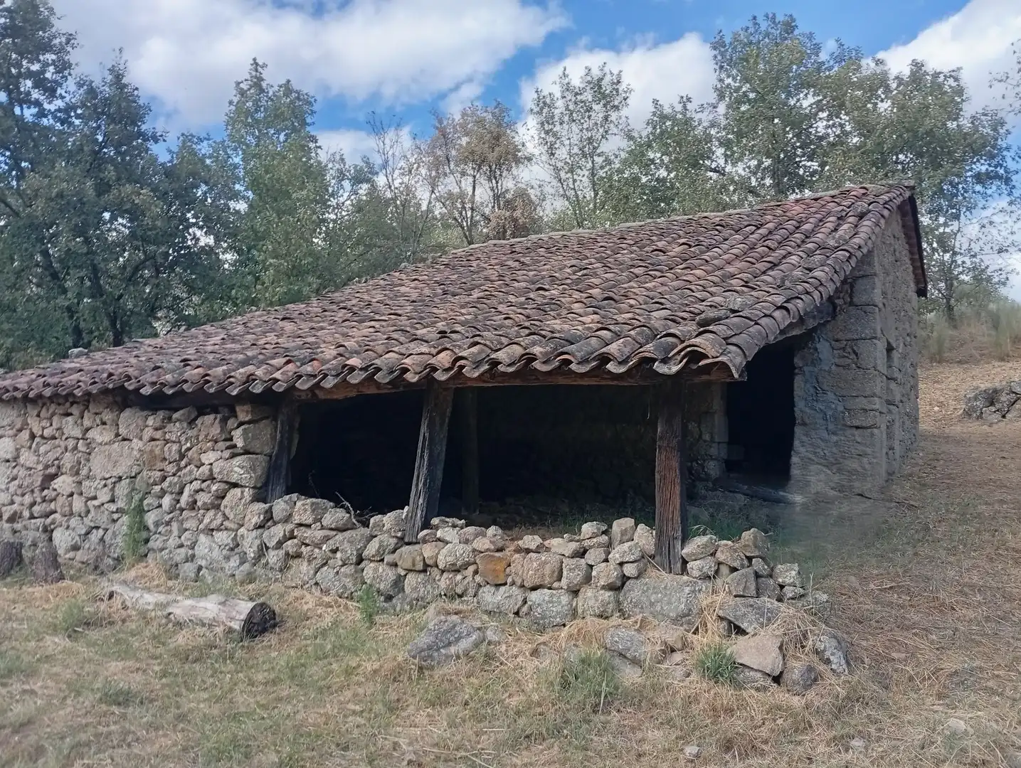 Terreni e lotti in vendita a Villanueva de la Vera, imagen 66