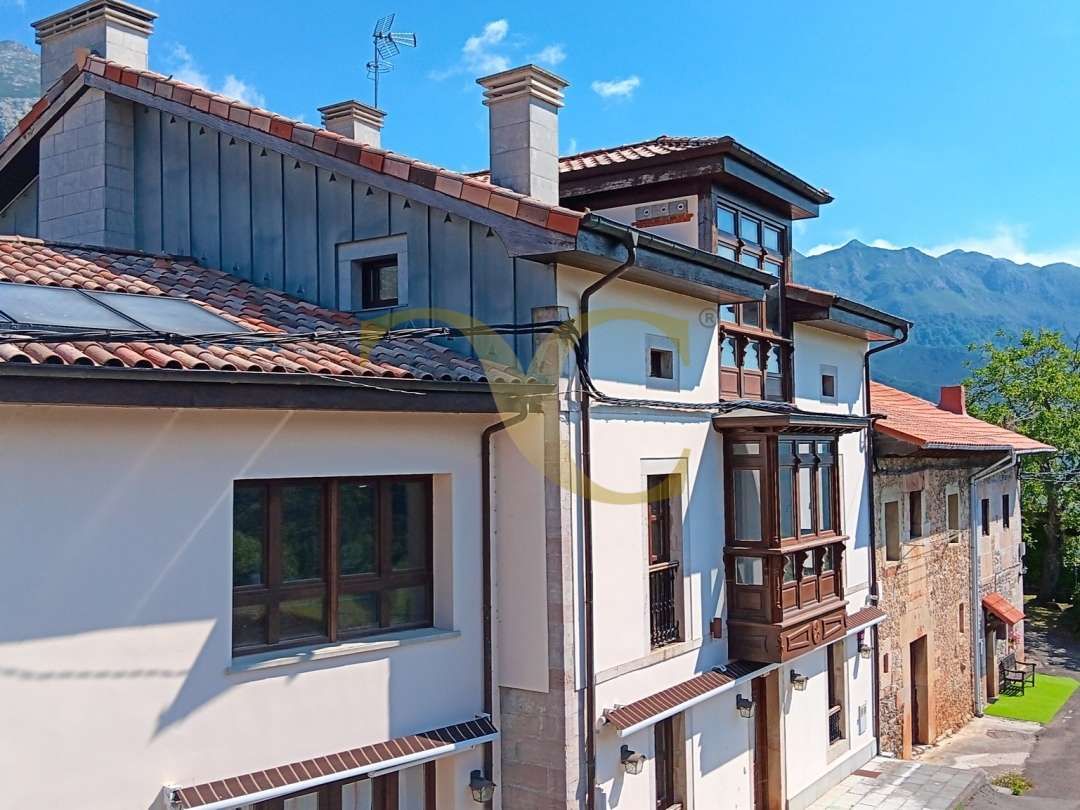 Exterior view of Building for sale in Peñamellera Alta