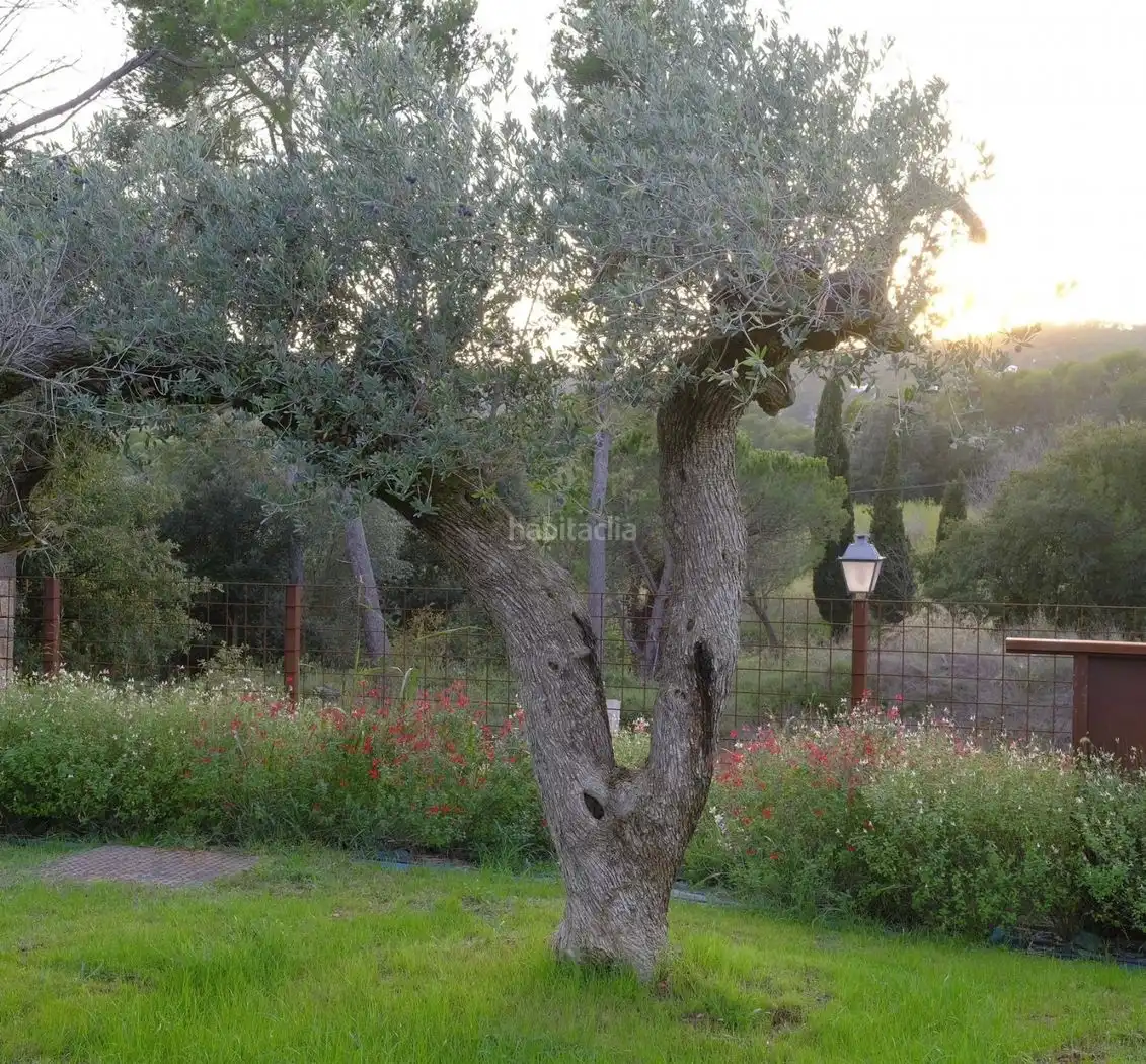 House with garden to rent in Carrer Torres Jonama 64, imagen 17