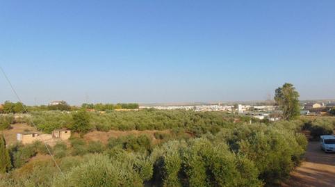 Foto 5 de Finca rústica en venda a Lora del Río, Sevilla