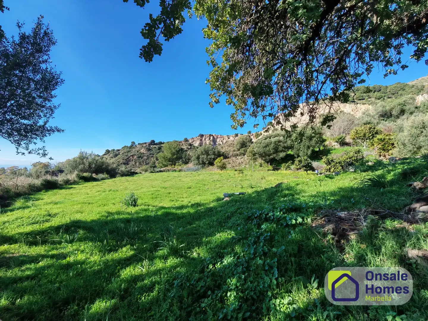 Terreno en venta en Ojén