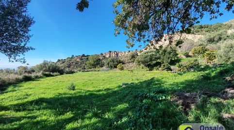 Foto 4 de Terreno en venta en A-355, Palo Alto, Ojén