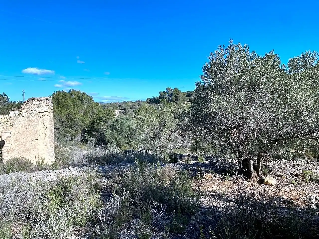 Terreno rustico in vendita a Aubachs, imagen 7