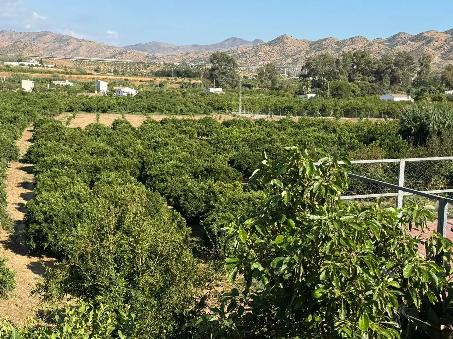 Vista exterior de Casa o xalet en venda en Álora amb Jardí privat, Terrassa i Traster