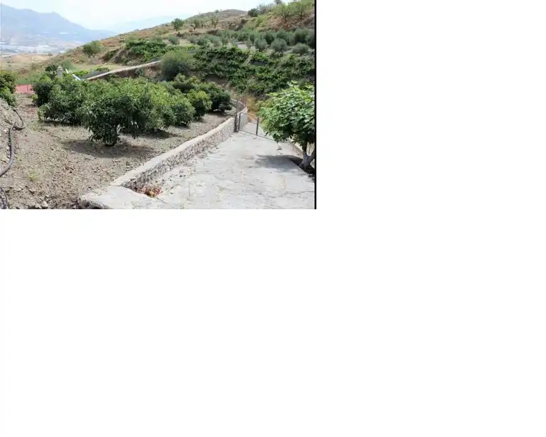 Terreny rústic en venda a Motril  ciudad, imagen 16
